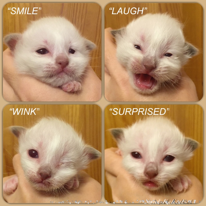 smile_wink