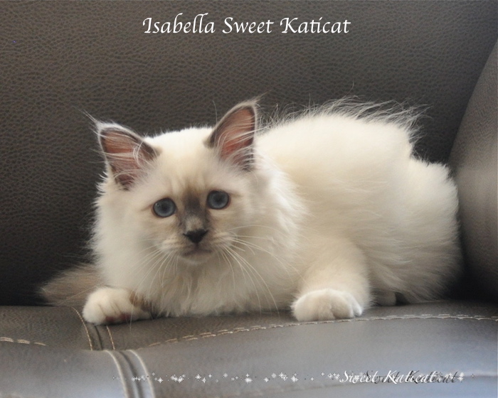 Isabella_007