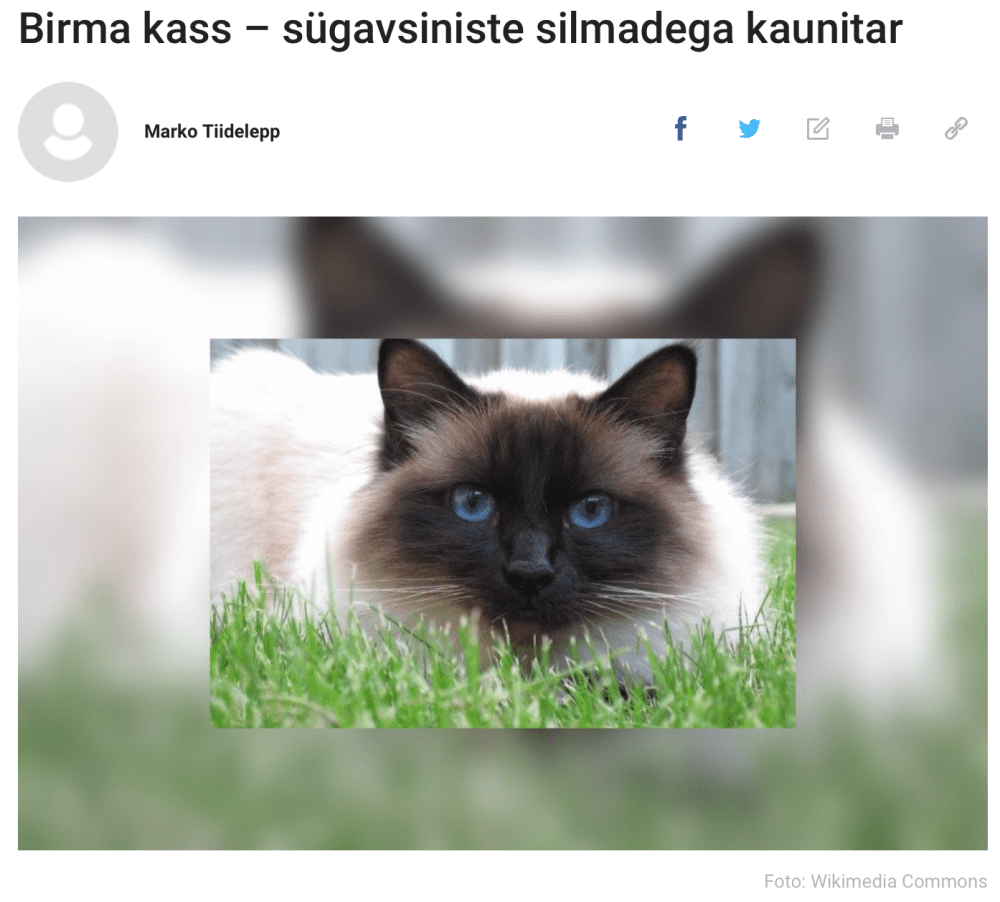 Screenshot 2019-07-09 at 22.20.22