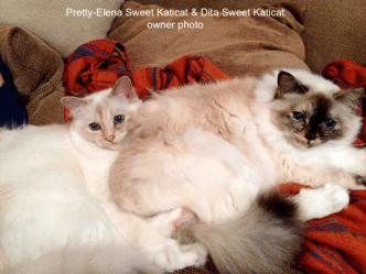 Pretty-Elena ja Dita Sweet Katicat