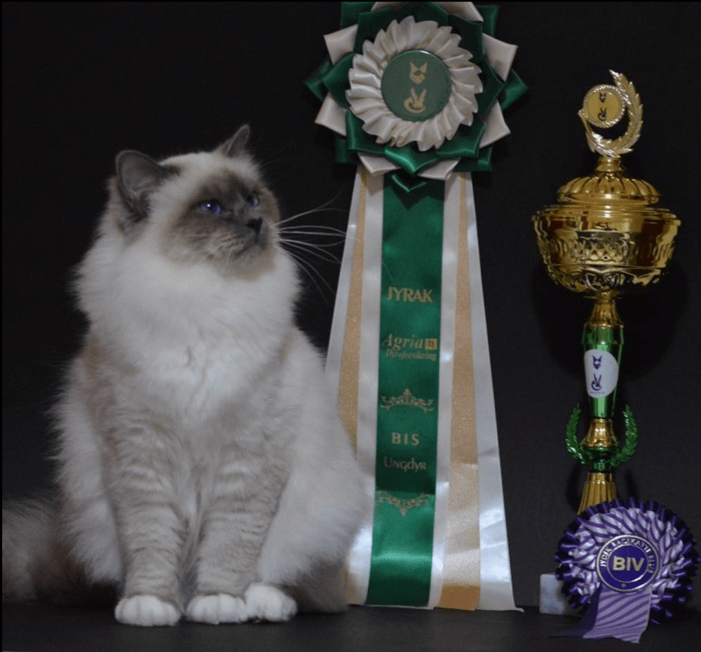 IC JÁdore du Mas la Fontaine,JW