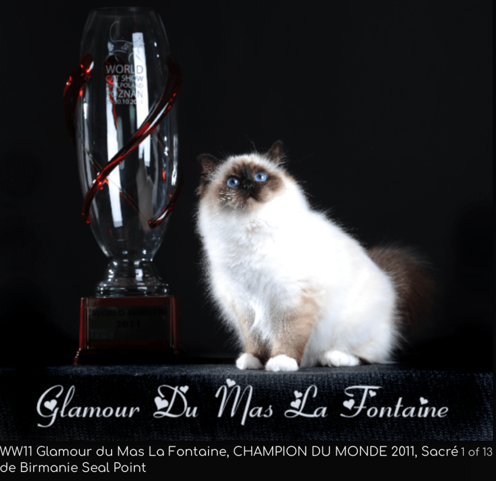 WW11 Glamour du Mas La Fontaine SBIn