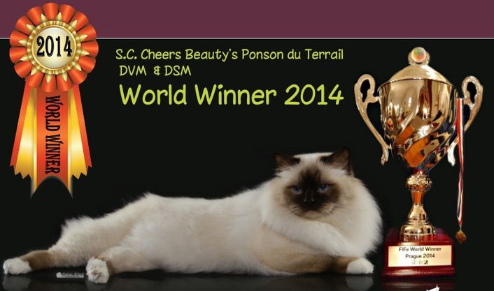 WW14 SC Cheers Beautys Ponson du Terrail,DVM,DSM SBIb