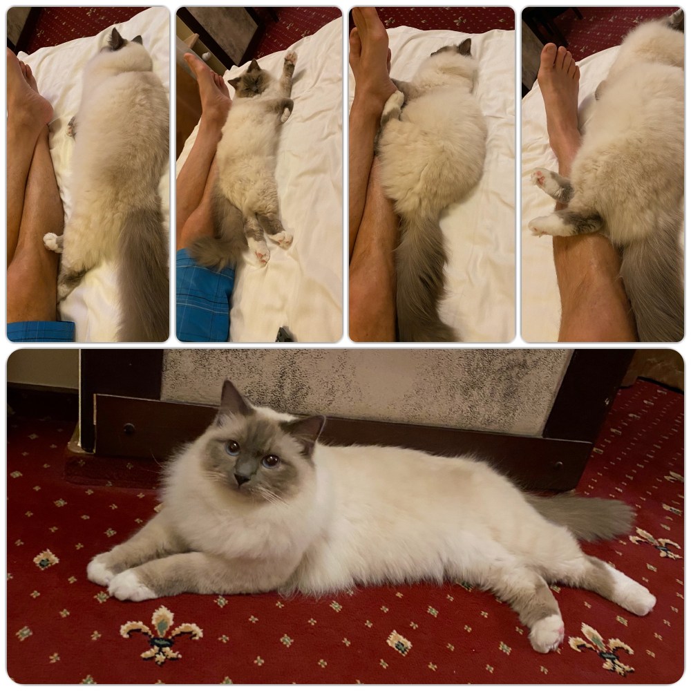 Yoga_Hotel